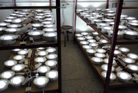 led down light ageing