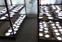 led SMD downlight