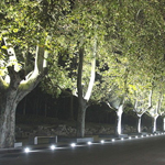 project-1-150 led flood light for tree